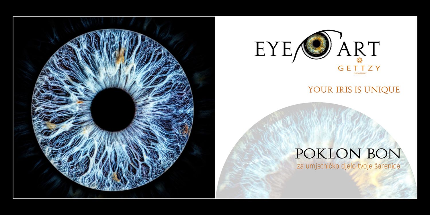 Close-up detailed photograph of a blue human iris with Eye Art branding.