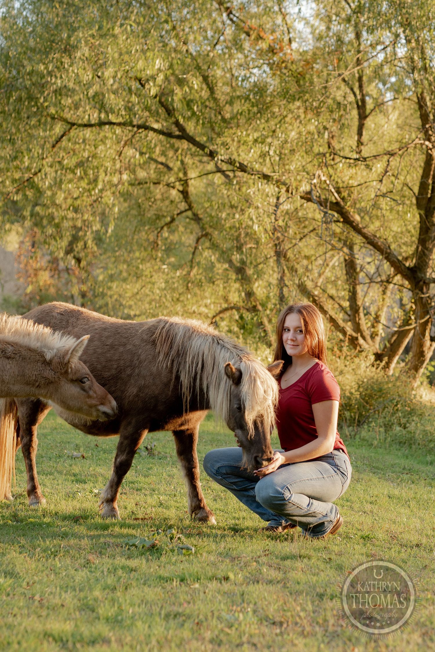 A person in a red shirt kneels beside a brown horse in a serene autumn setting with golden trees.