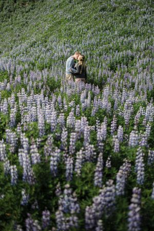 A couple stands surrounded by a sea of purple lupine flowers on a hillside.