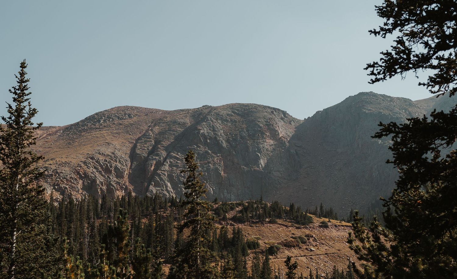 Granite cliff face of Pikes peak with towers of pine trees in the foreground