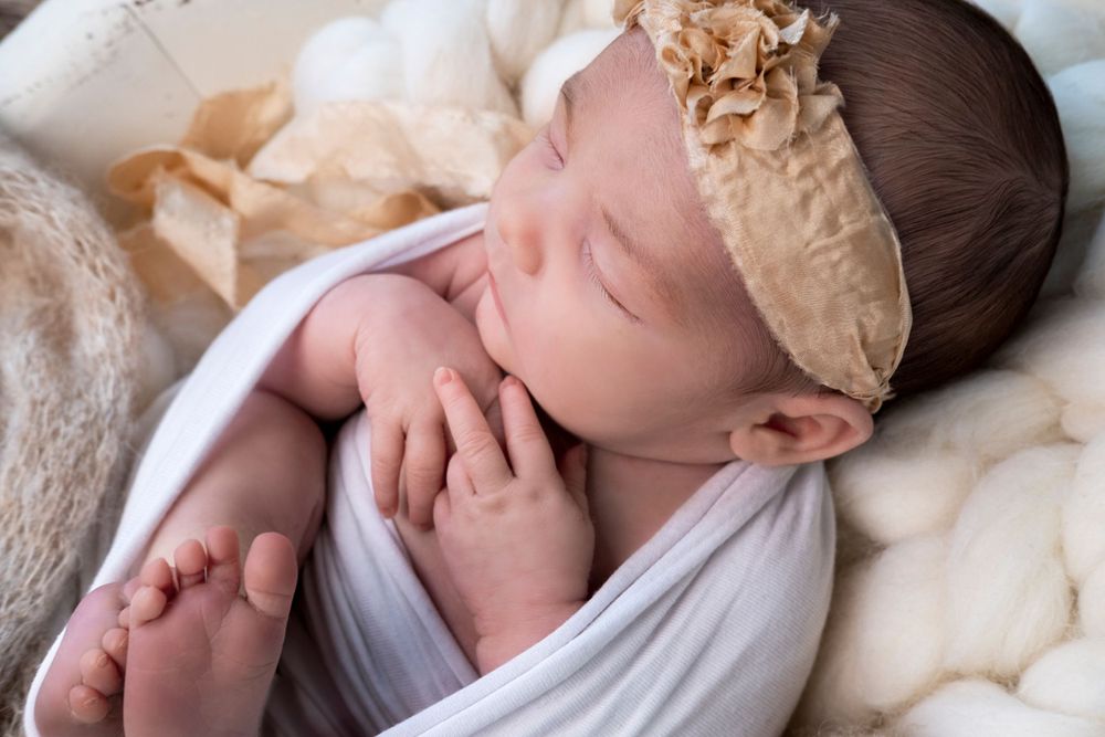 Styled newborn session