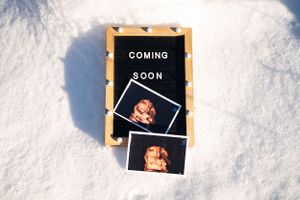 A black letterboard pregnancy announcement with ultrasound photos placed in snow.