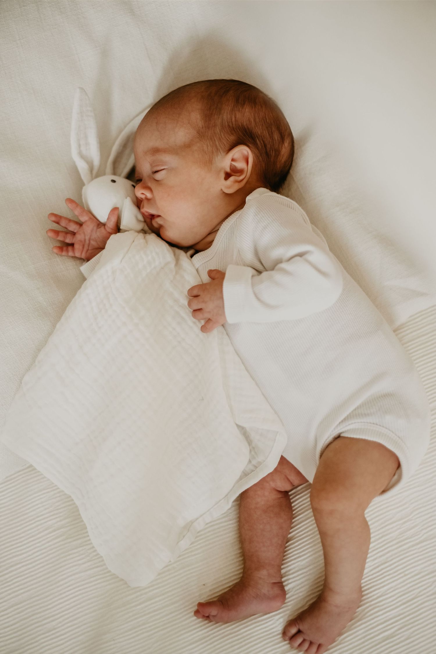 pasgeborene in bed, babysessie, kleine spruit, alice, knuffeltje
