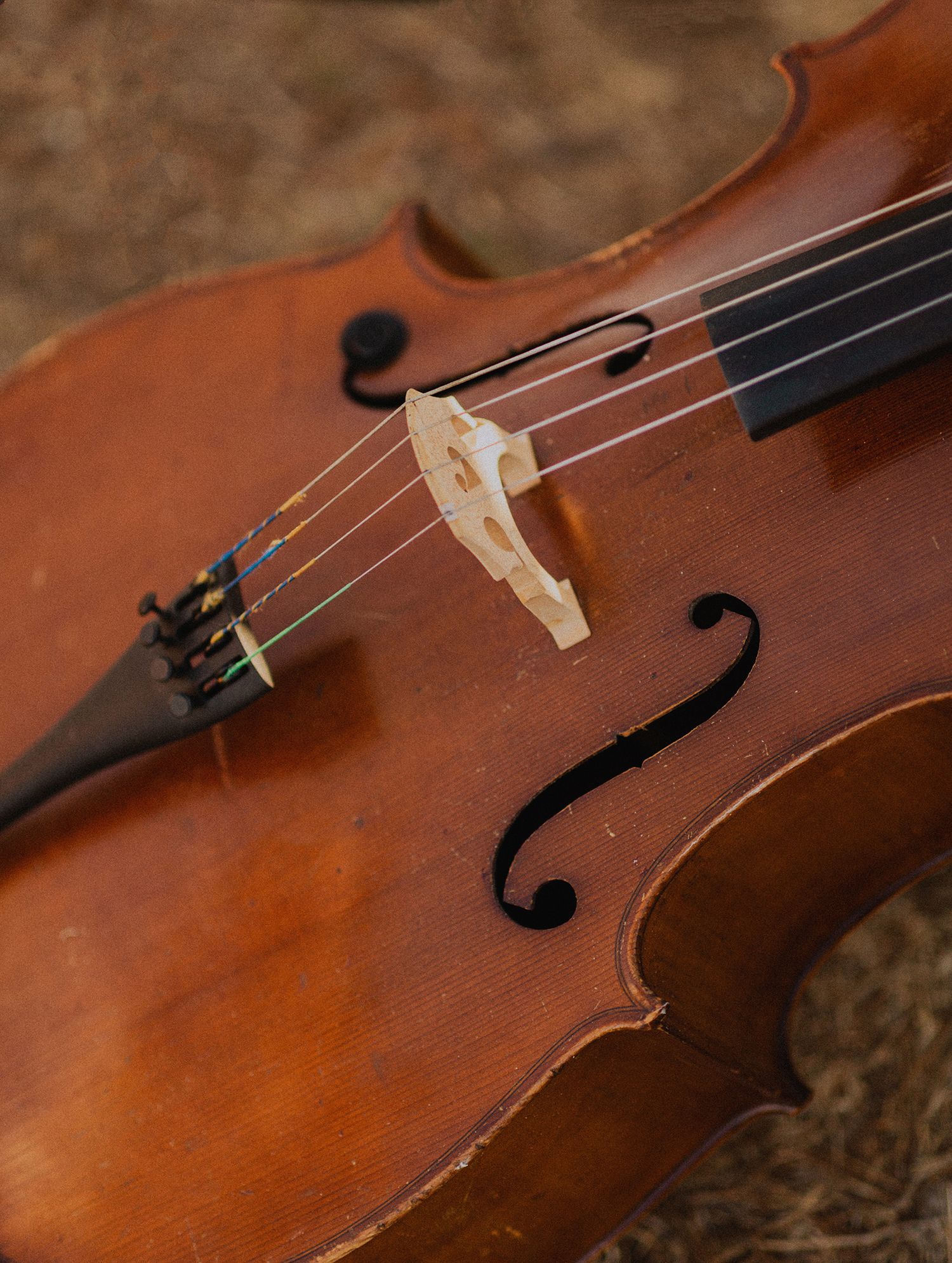 Cello detail