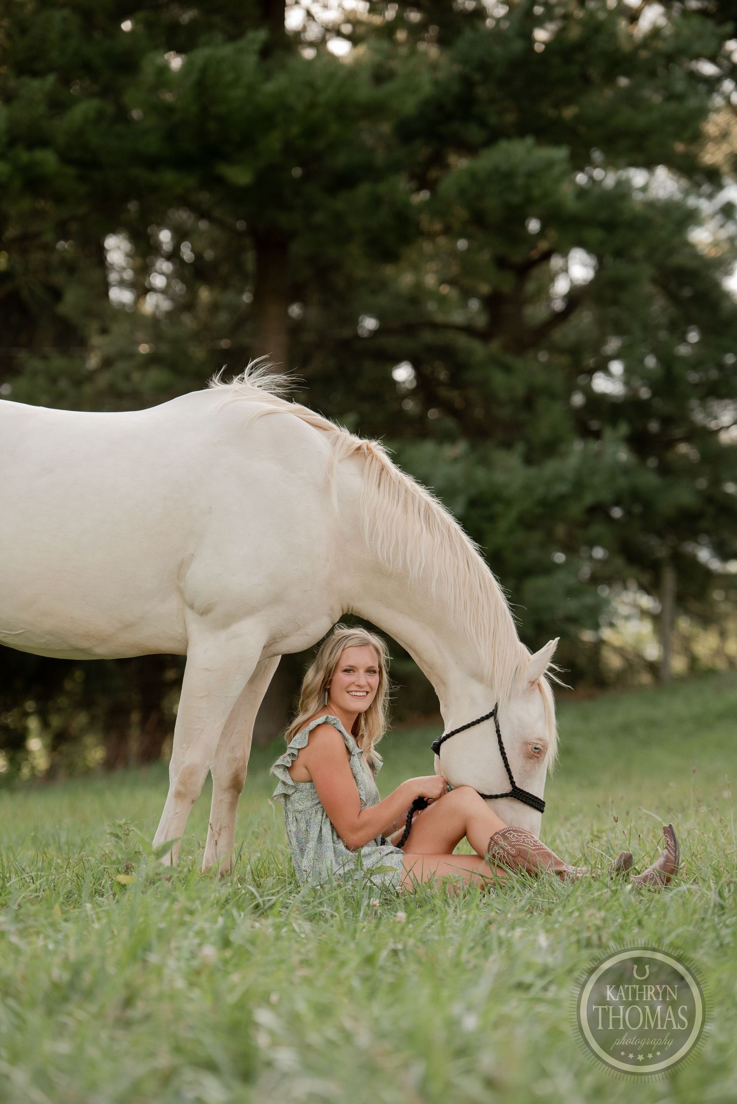 A majestic white horse bends down in a grassy field surrounded by evergreen trees.