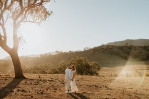 Rolling hills and eucalyptus trees create a golden landscape at sunset.