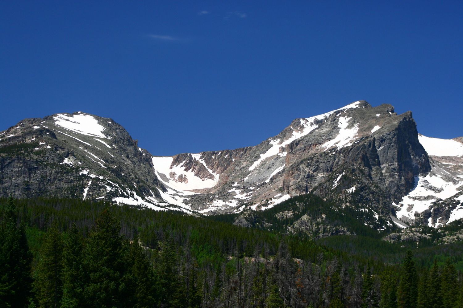 Colorado Rockies