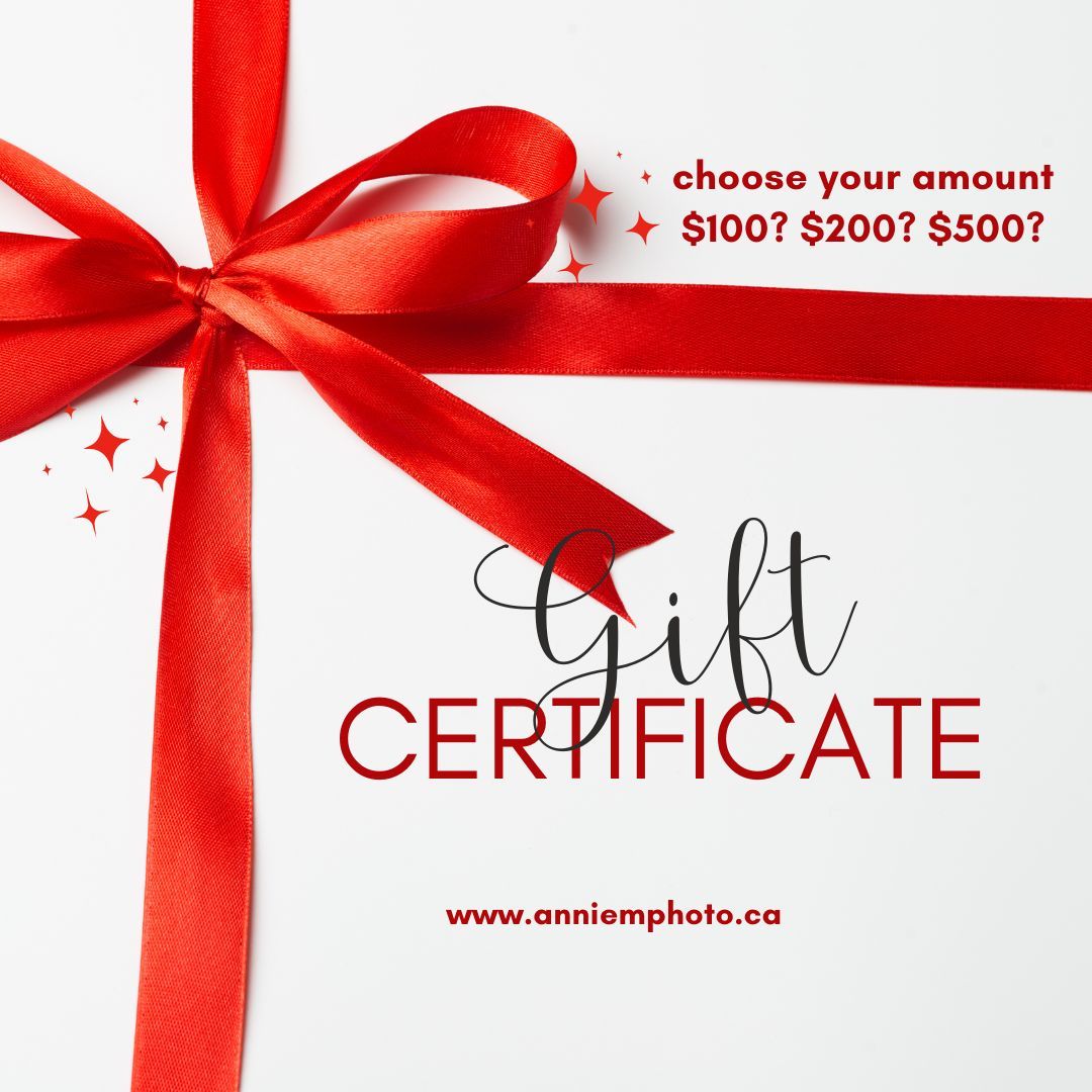Red gift certificate ribbons and bows against white background offering various monetary amount options.