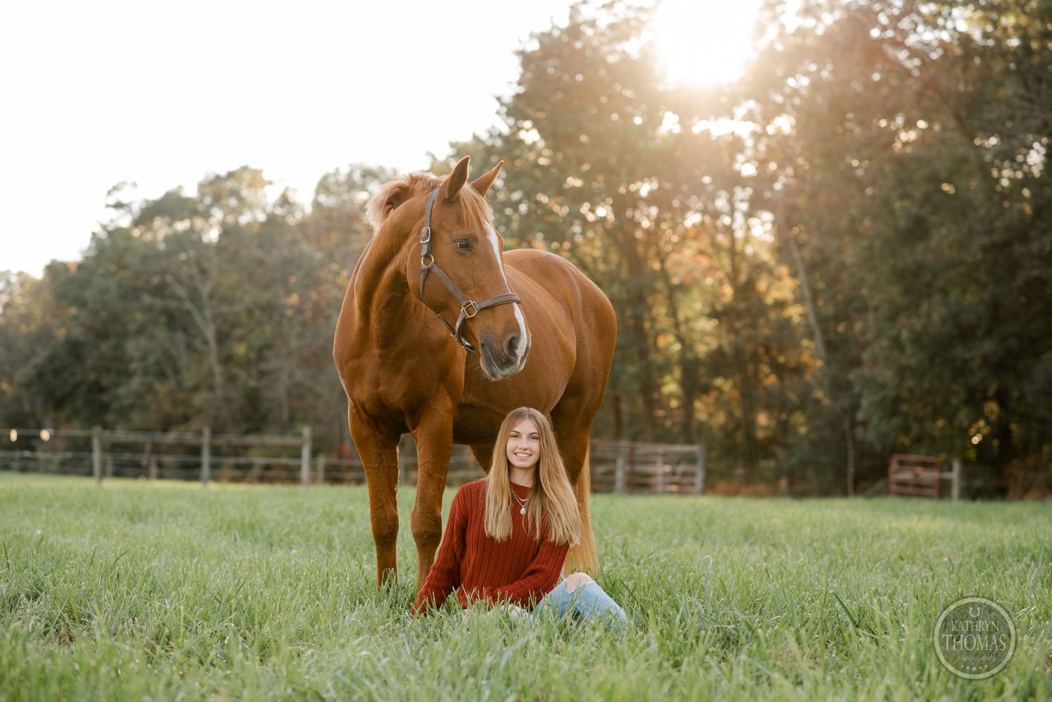 Beautiful chestnut horse standing in grassy field at sunset with rider sitting beside it.