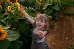 Childhood sunflower photo session Lancaster, Pa