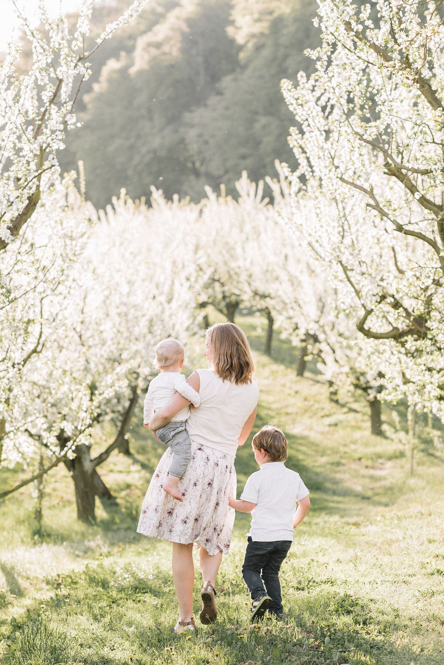 A family walks through a blooming spring orchard on a sunny afternoon.