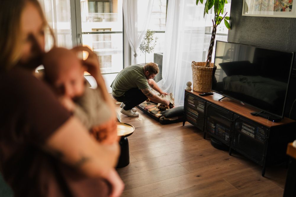 Cozy living room scene with houseplants and hardwood floors as someone plays with a pet.