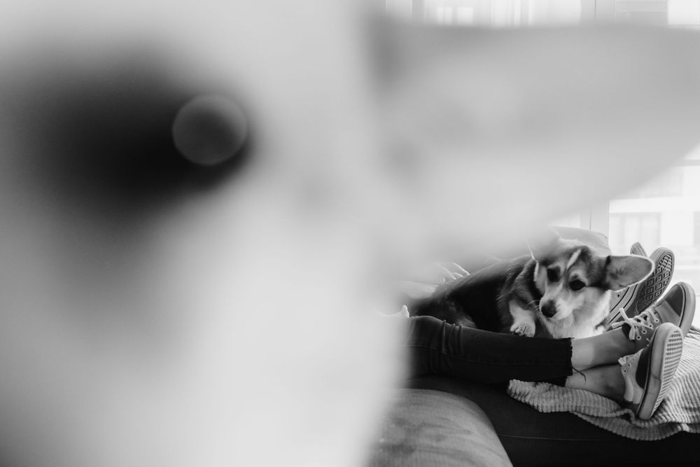 Artistic black and white blurred photo with Corgi dog in foreground.