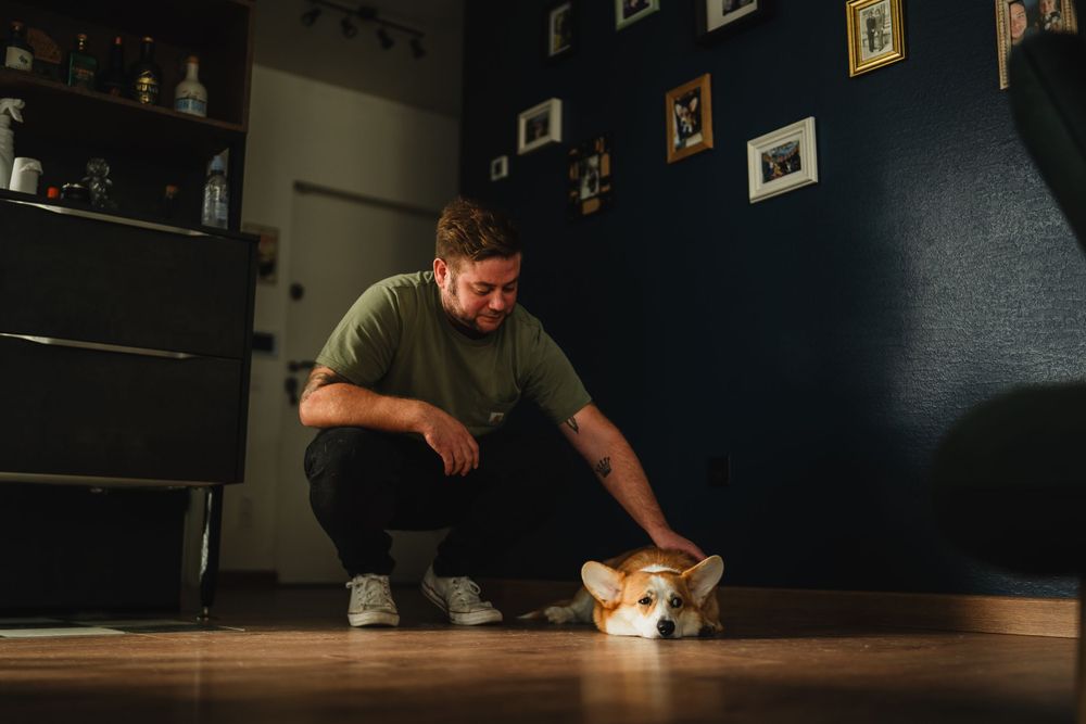 A person in a green shirt crouches down to pet a small white cat on a wooden floor.