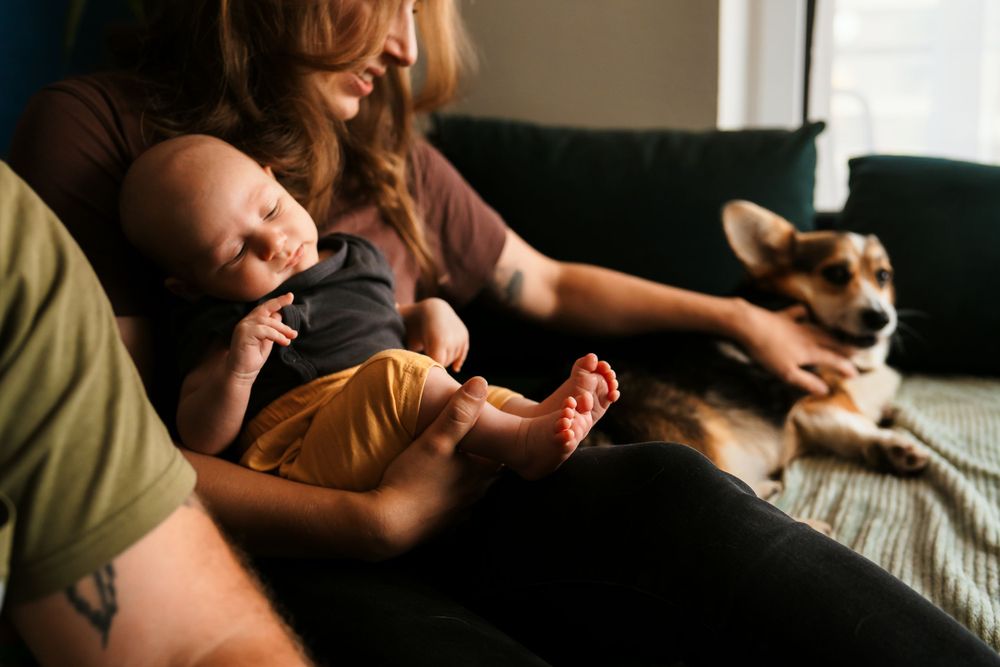Baby in yellow outfit rests with family and Corgi dog on sofa in natural lighting.