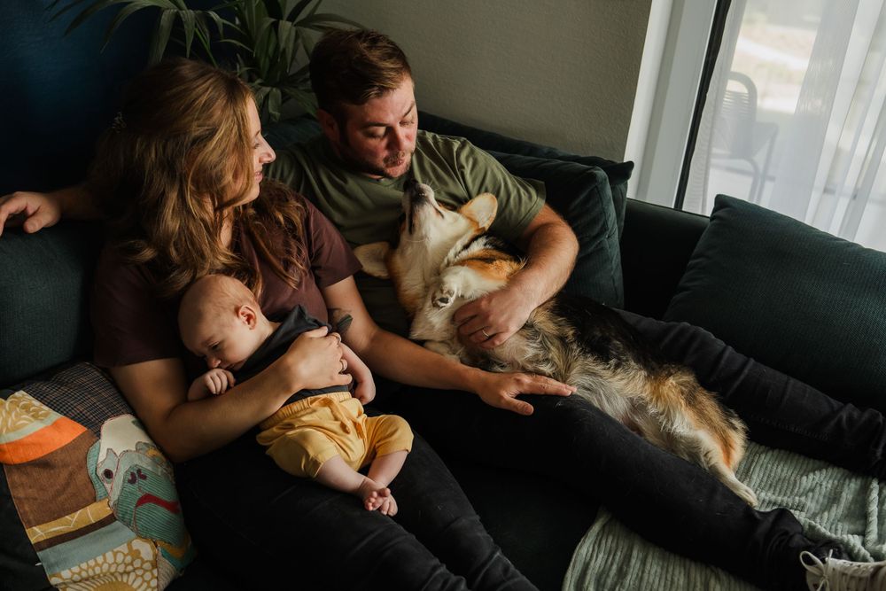 Family lounges on dark couch with baby and Corgi dog in sunlit room.