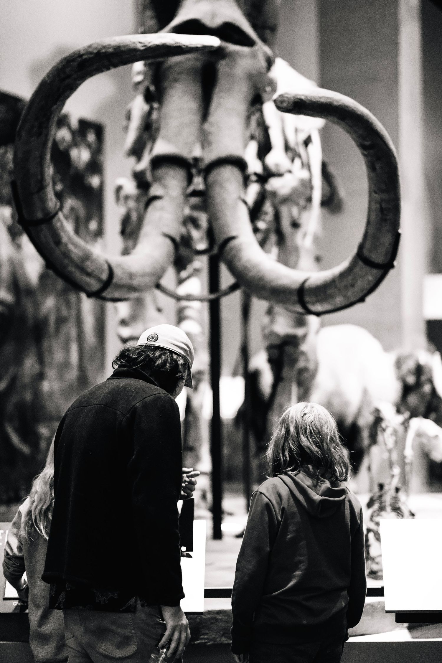 Black and White image of a man with his children reading information about the wholly mammoth fossils on display