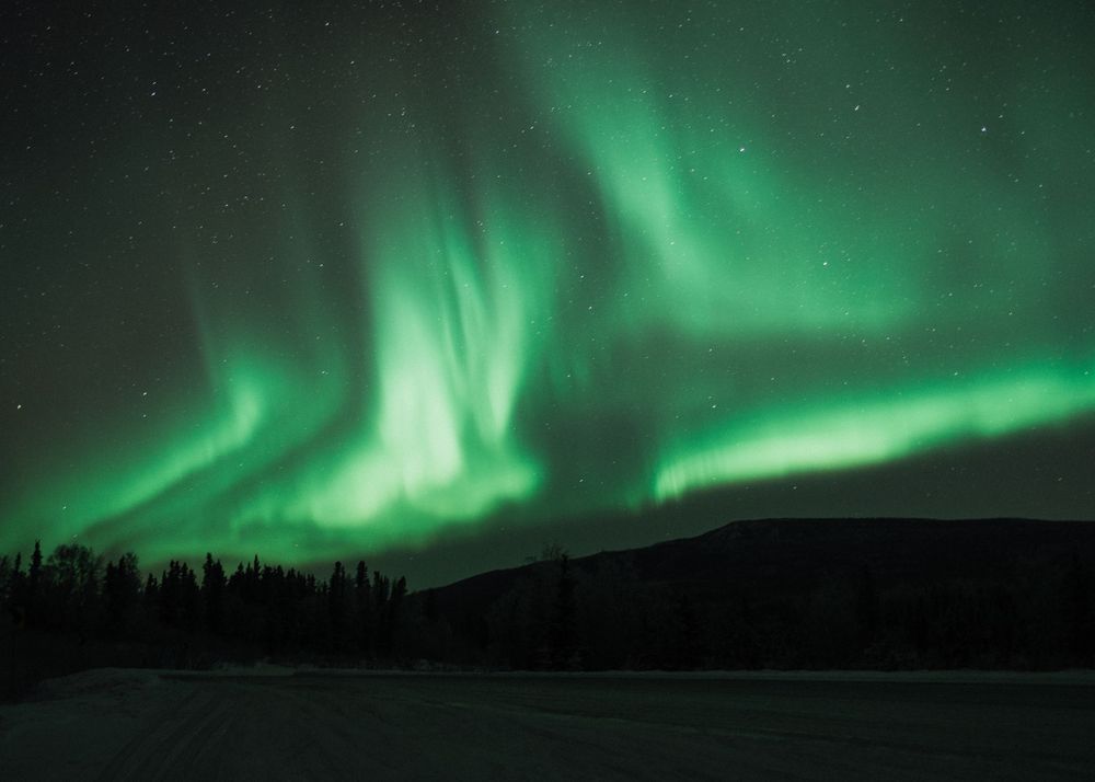 Spectacular green aurora borealis dancing across the night sky over a dark forest landscape.