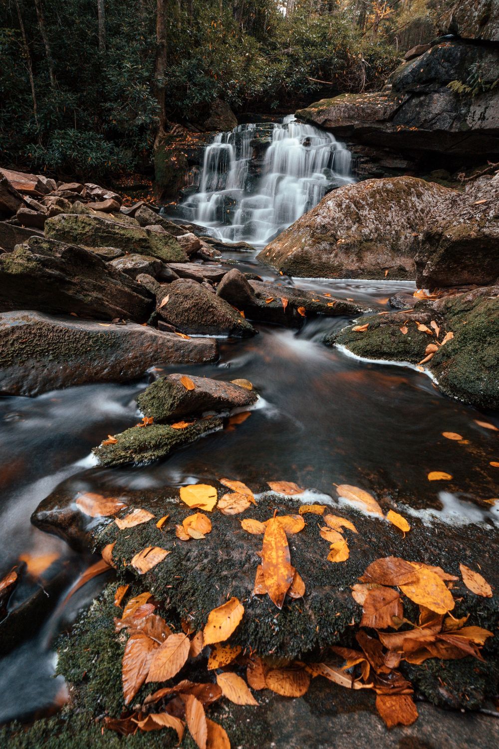 Forest waterfall flowing over rocky terrain with scattered autumn leaves in the foreground.