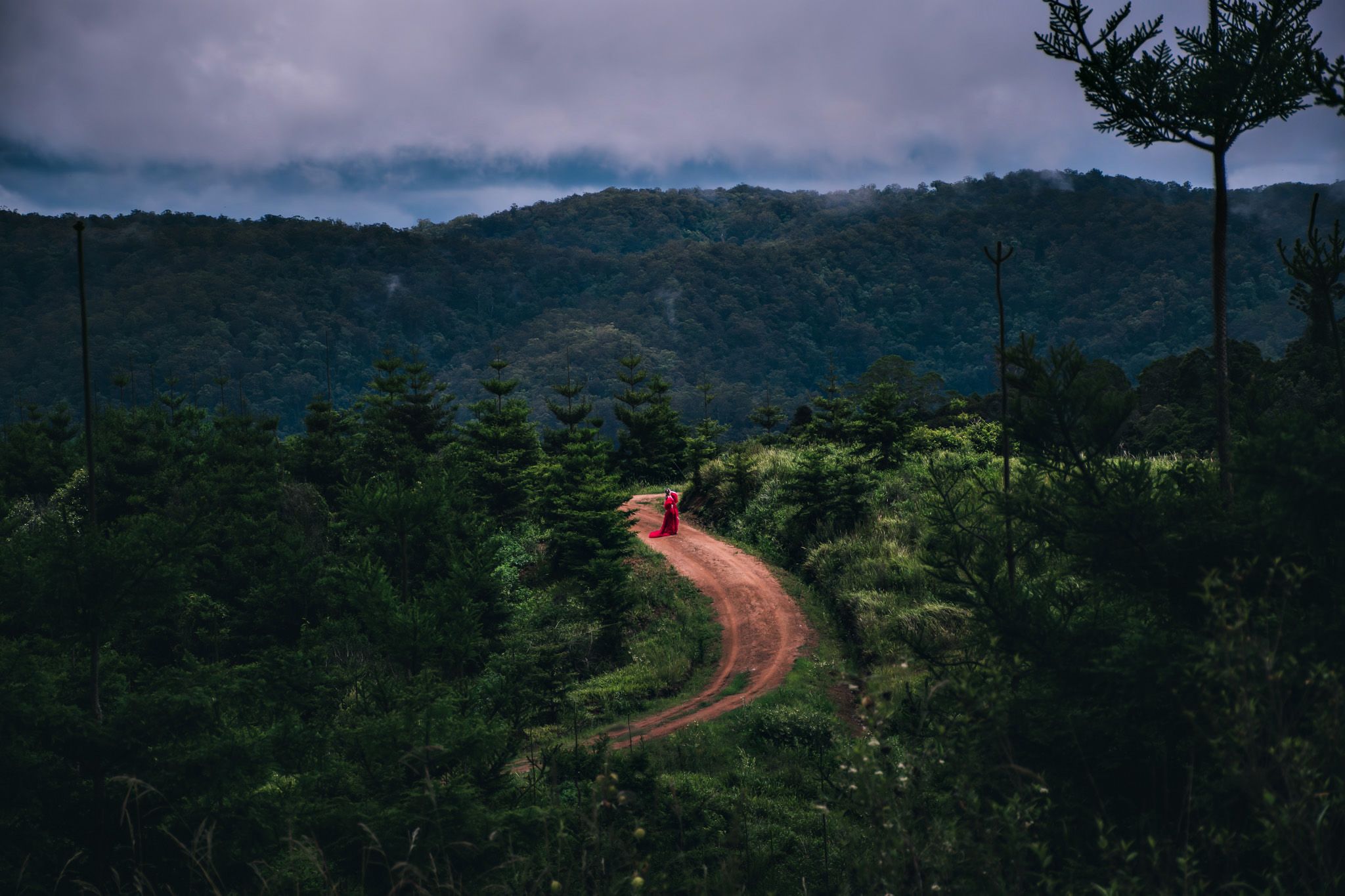 Misty mountain landscape with winding dirt road through forested hills at sunset.