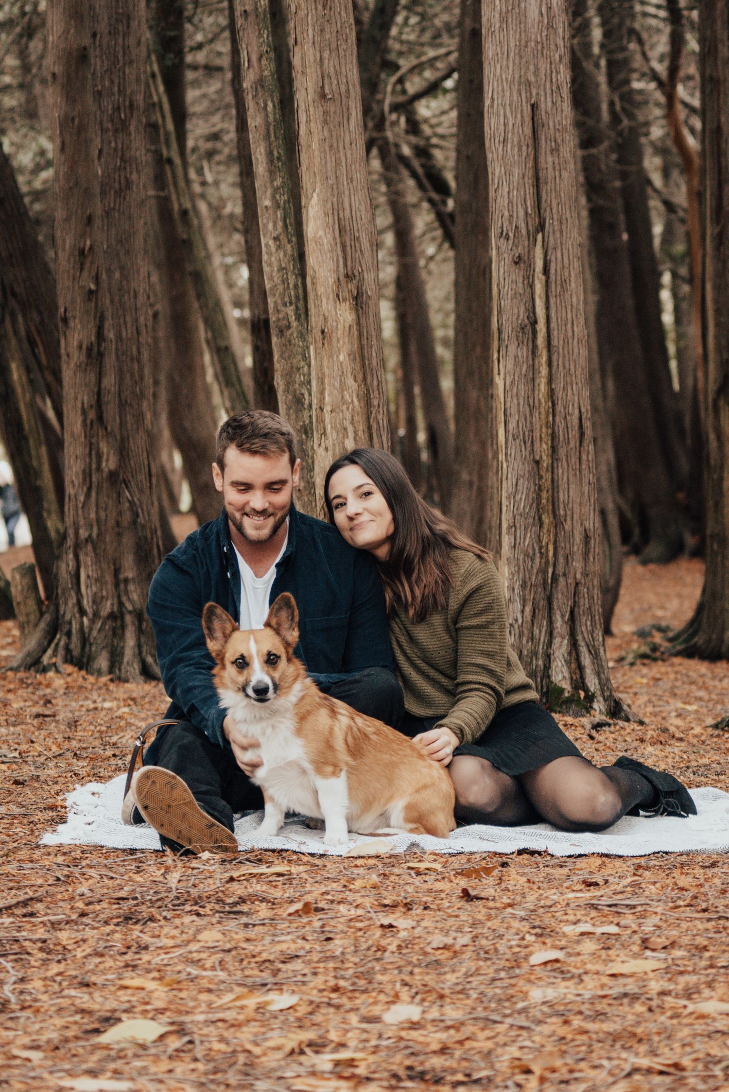 Image of couple sitting on blanket in leaves with their dog.