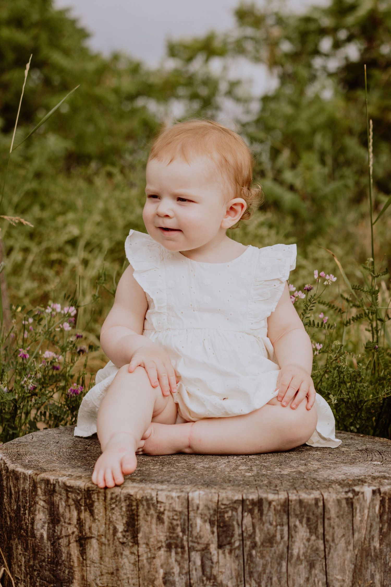 Image of baby on tree stump.