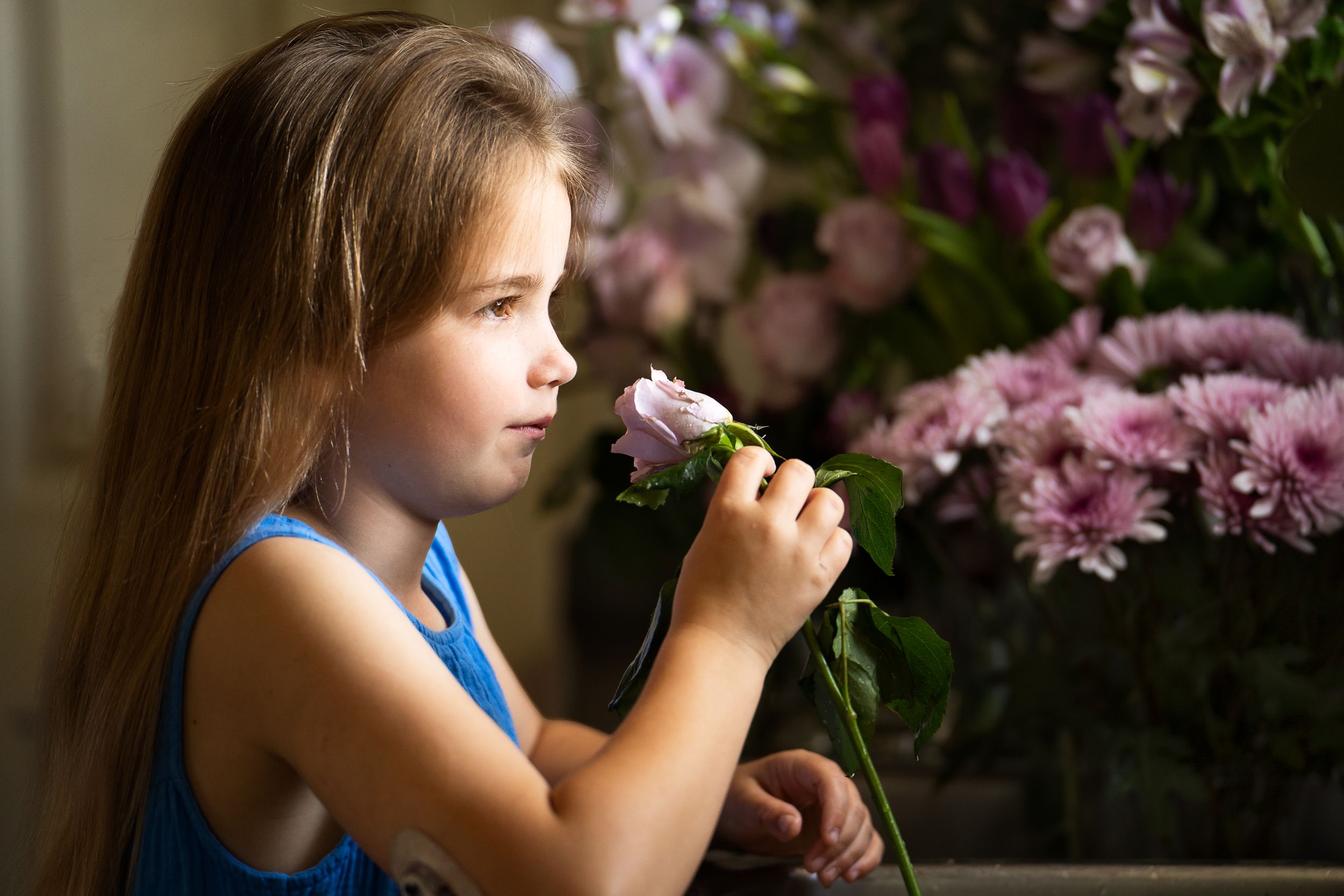 Young girl in blue dress smelling a rose  surrounded by purple flowers in home photography session San Antonio Texas