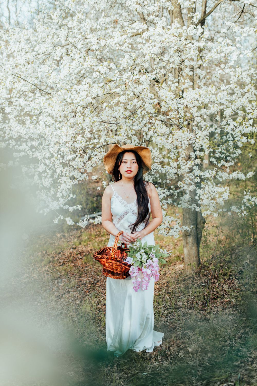 Someone in a flowing white dress and brown hat gathers flowers beneath blooming white cherry blossom trees in spring.