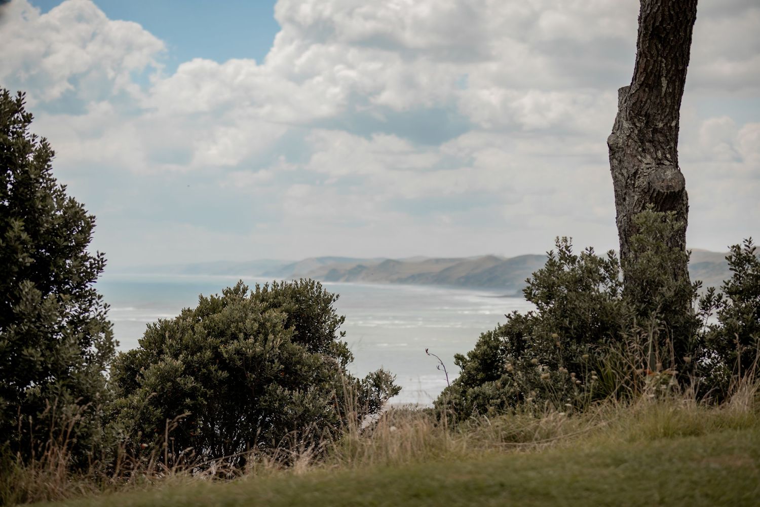 Raglan beach photographer