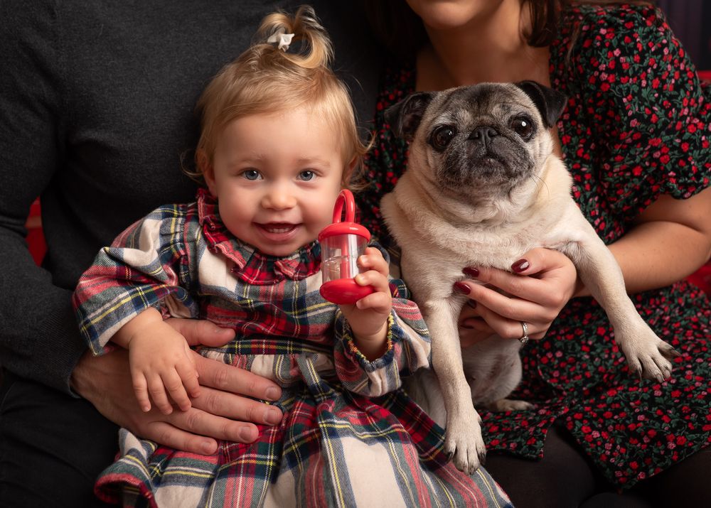 baby girl wearing a christmas dress, fireplace, dog, rattle, smile