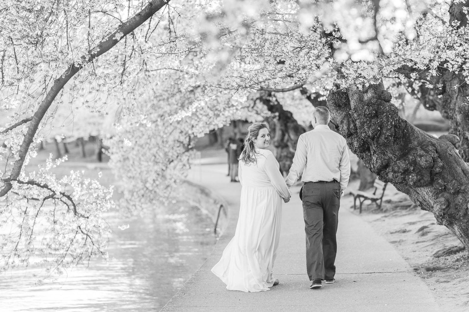 WASHINGTON DC CHERRY BLOSSOM ENGAGEMENT PICTURES
