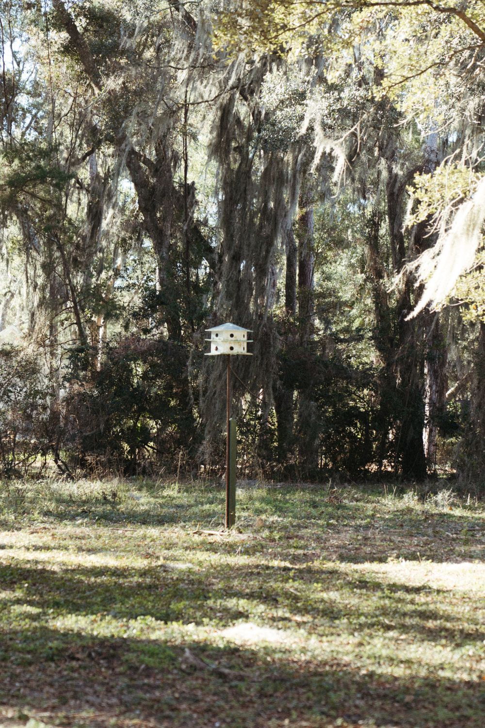 historical homes on saint simons island