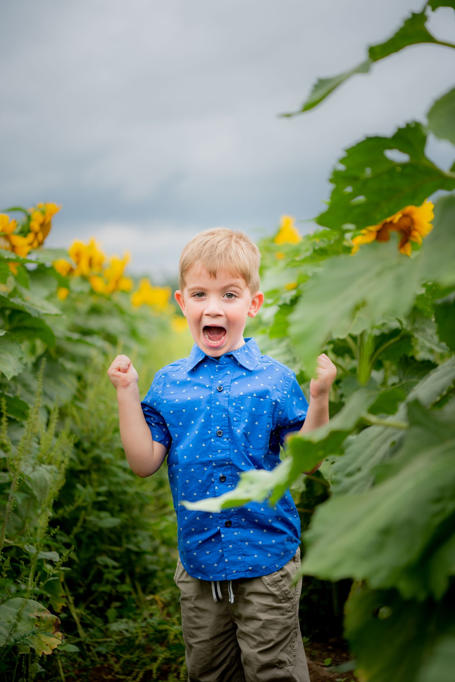 boy in blue shirt in sunflower field with a huge smile at the beacon hotel pittsburgh pennsylvania