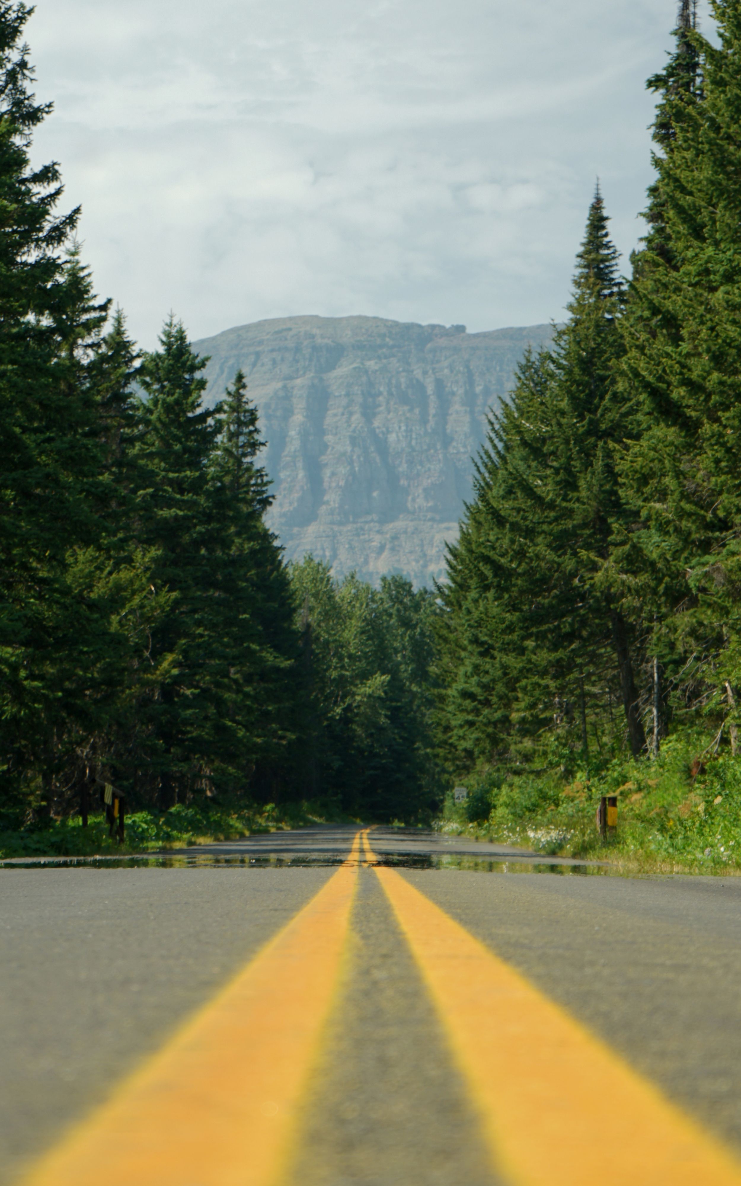 Going to the sun road, glacier national park