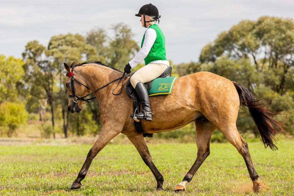 Rider in white and green guiding a dun-colored horse during an equestrian event.