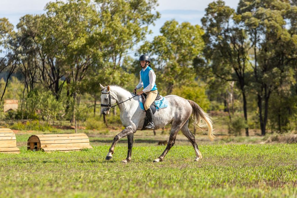 Rider on a dappled grey horse practicing dressage in a rural arena setting.