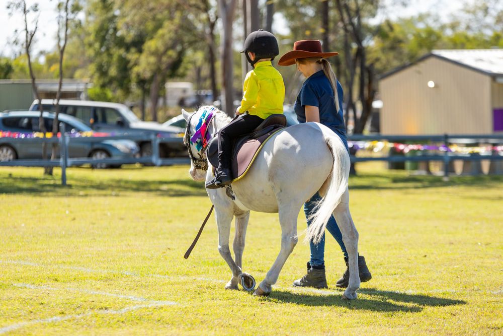 A white pony being led through an equestrian training course on a sunny day.