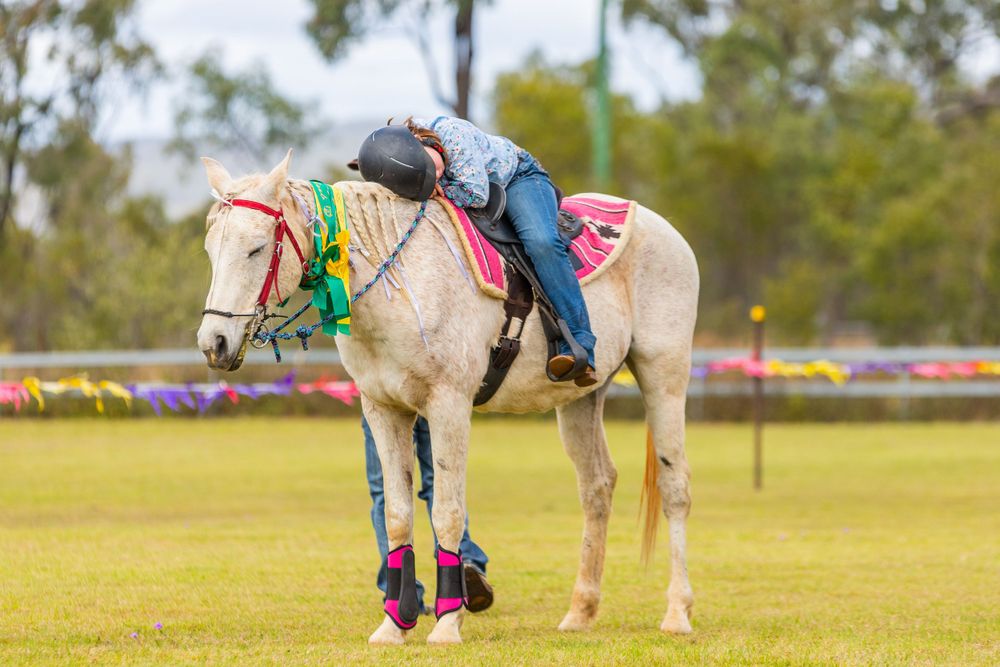 A decorated white pony with colorful leg wraps and tack resting in a grassy field.