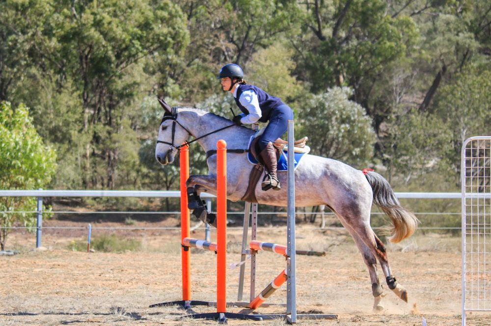 Grey horse and rider clearing a high orange and white jump during competition.