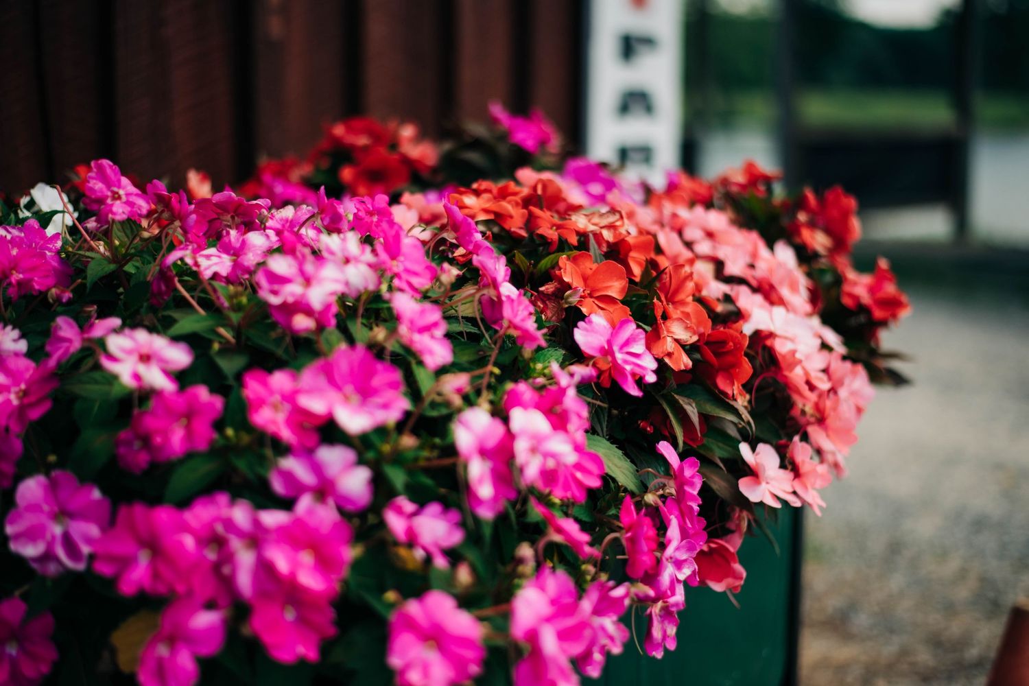 pink and red flowers outside of wedding venue