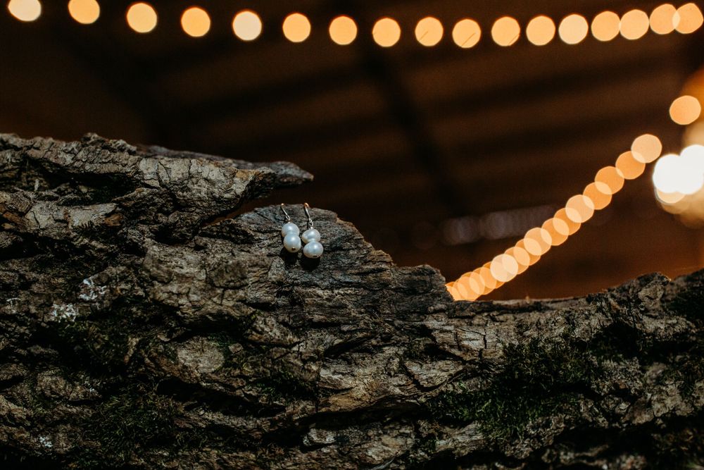 Wedding rings displayed on textured bark with bokeh string lights in the background.
