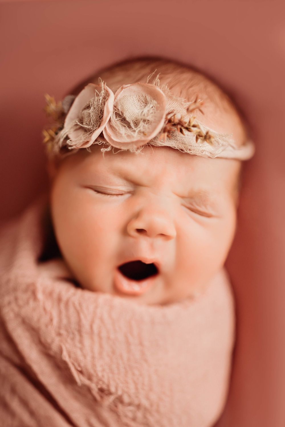 newborn photographer columbus ohio