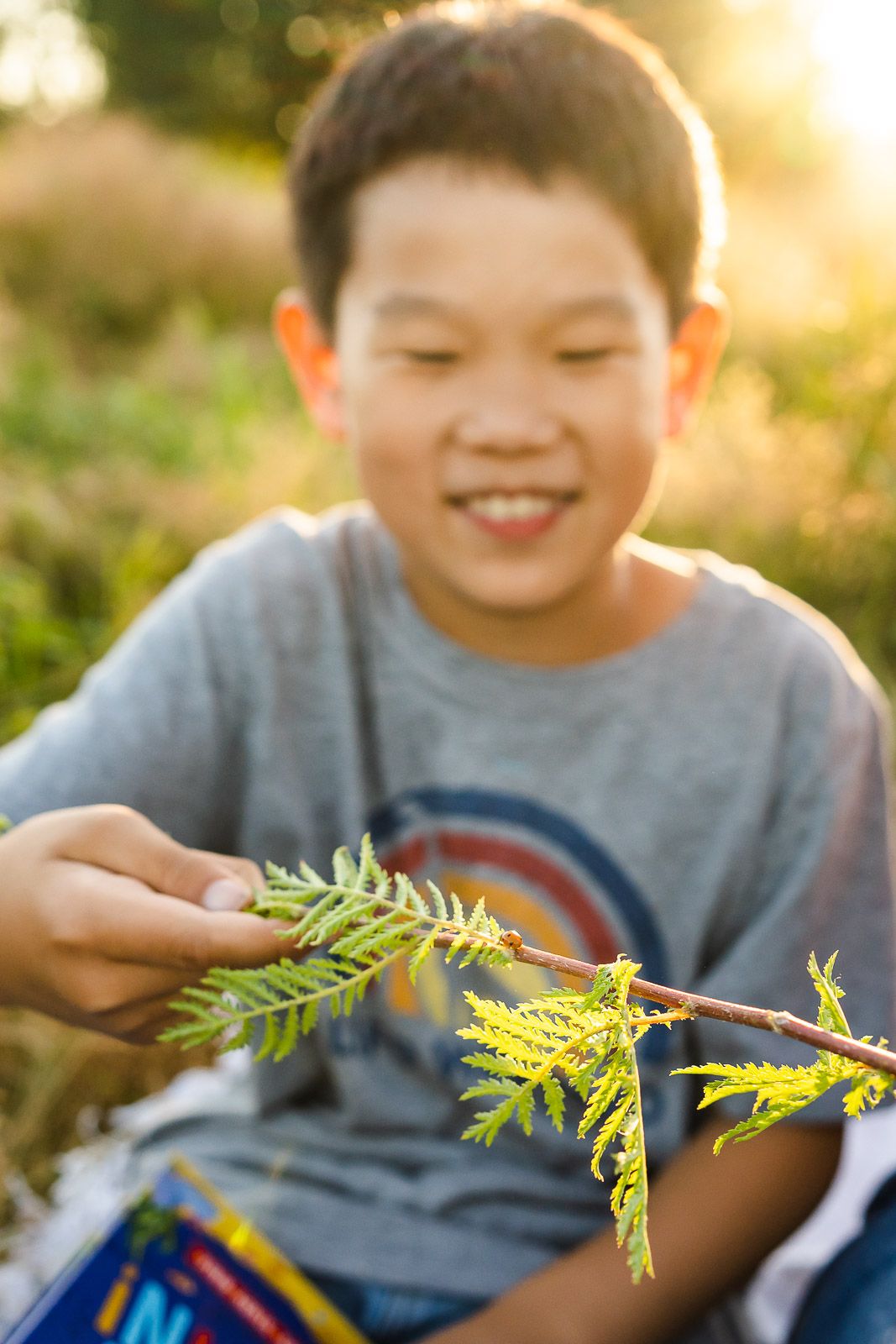Boy capturing and playing with a ladybug at sunset in Marymoor Park