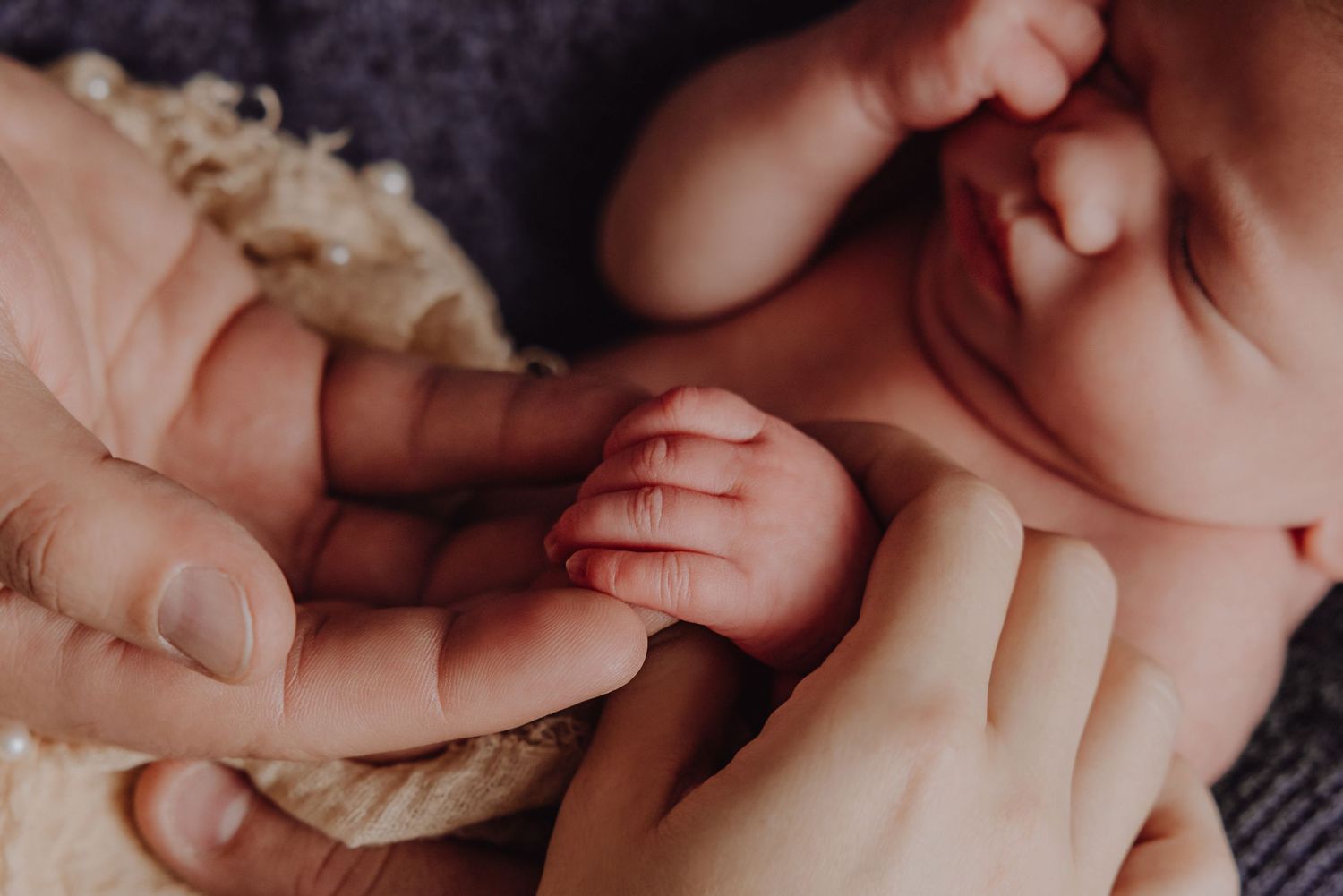 Nahaufnahme einer winzigen Babyhand, die erwachsene Finger greift.