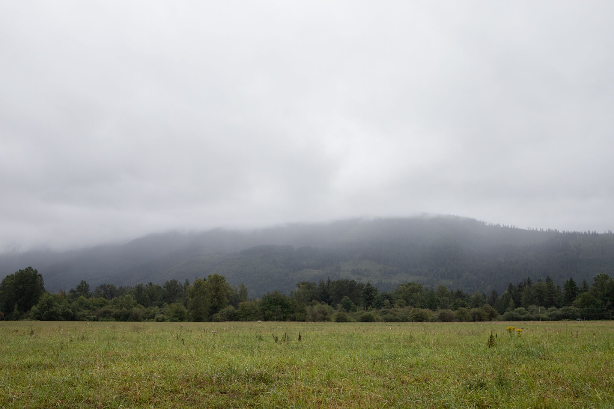Meadowbrook Farm Location Photographer in Issaquah, Snoqualmie, Maple