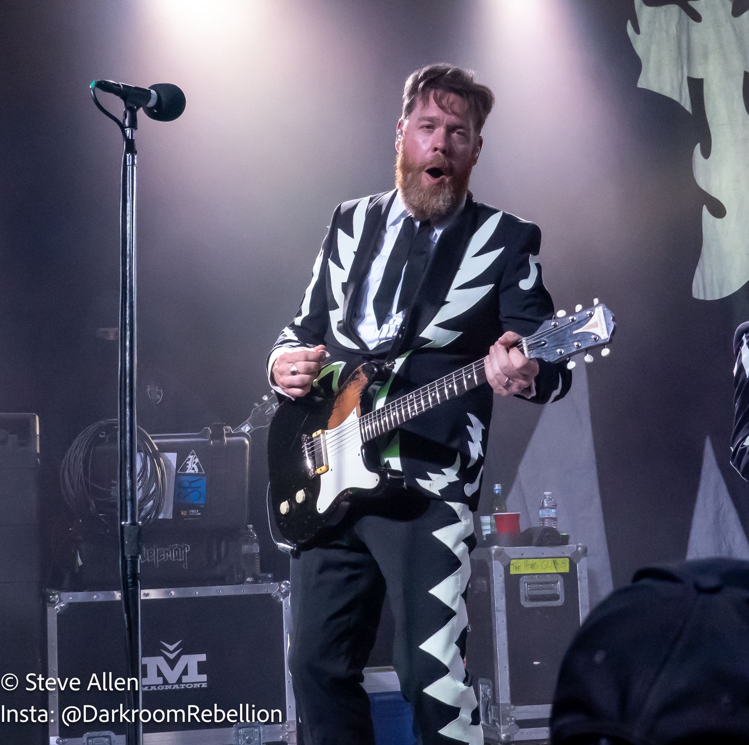 Vigilante Carlstroem -The Hives - Glass House Pomona