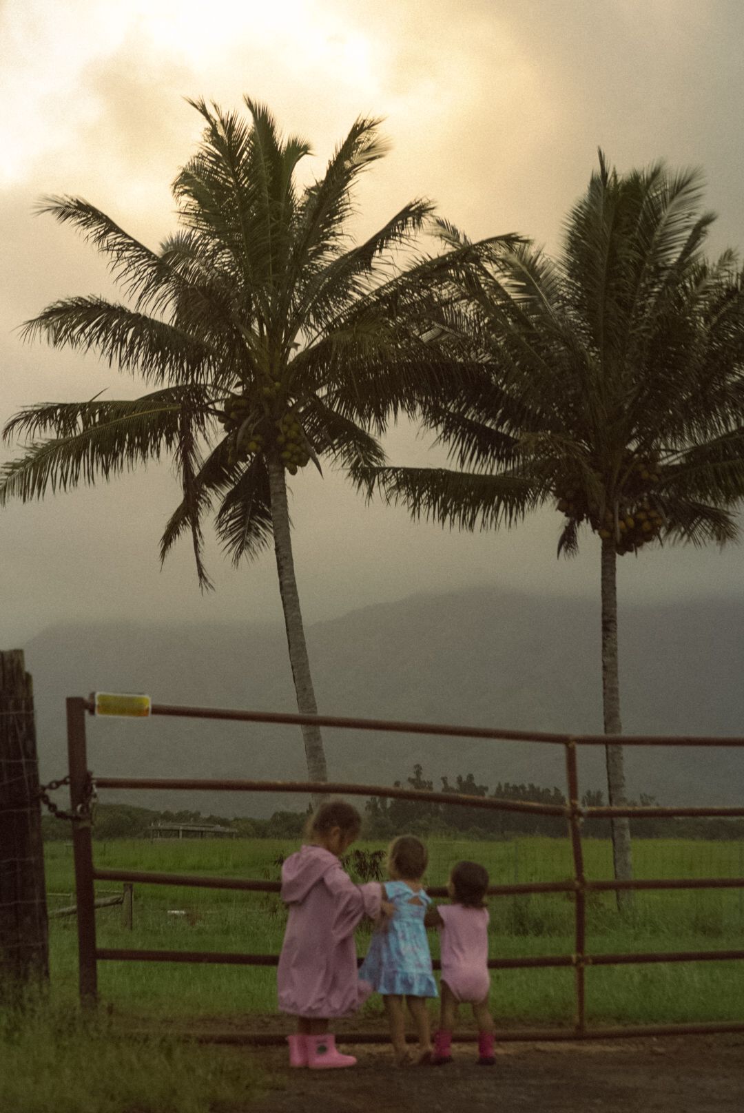 little familly playing near pastures in the grassy fields of monuments Kauai