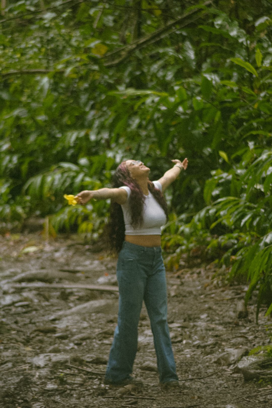 standing in the forest spinning around waiting for the rain to fall in Hawaii