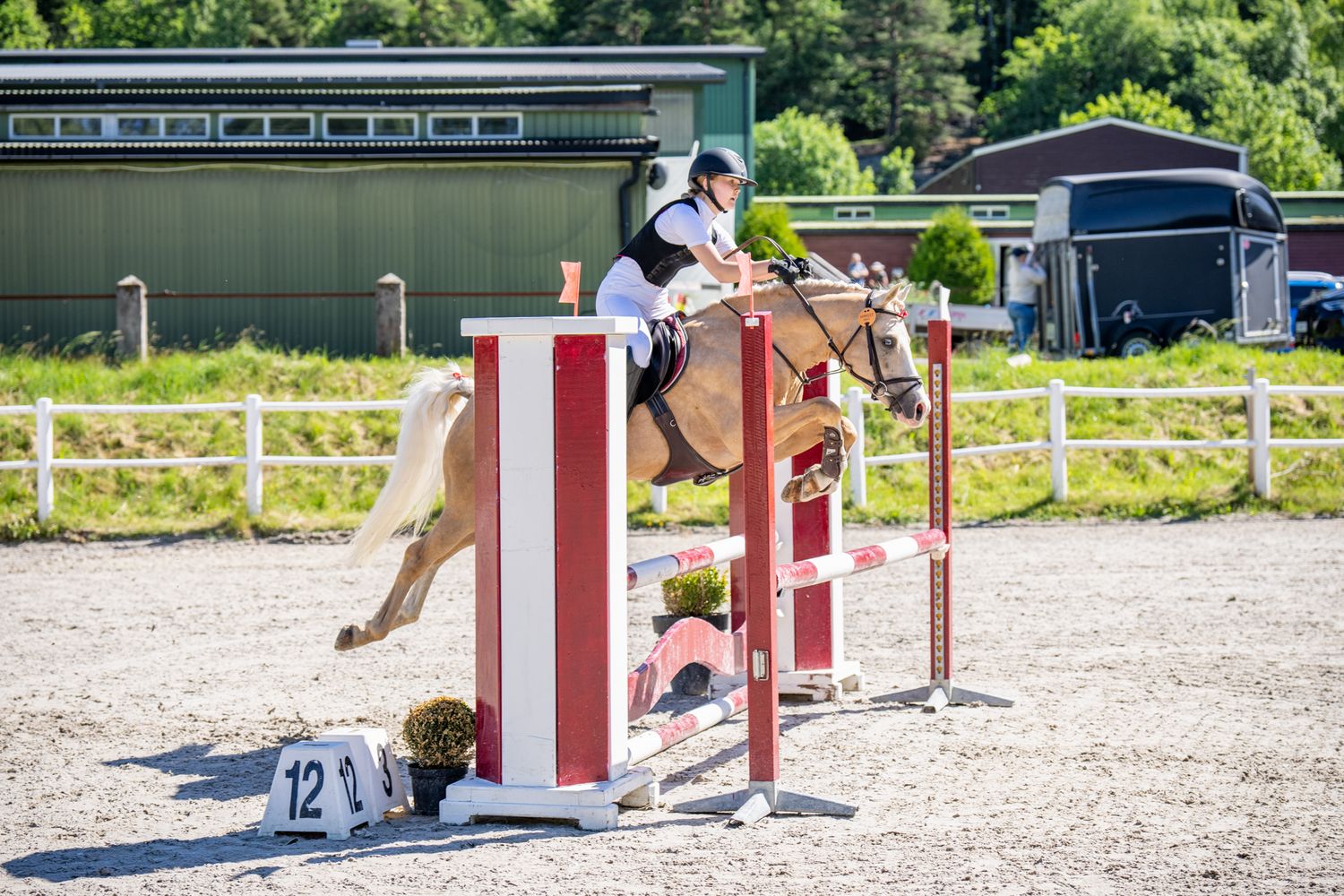 Horse and rider clearing a red and white jump pole during an equestrian competition.