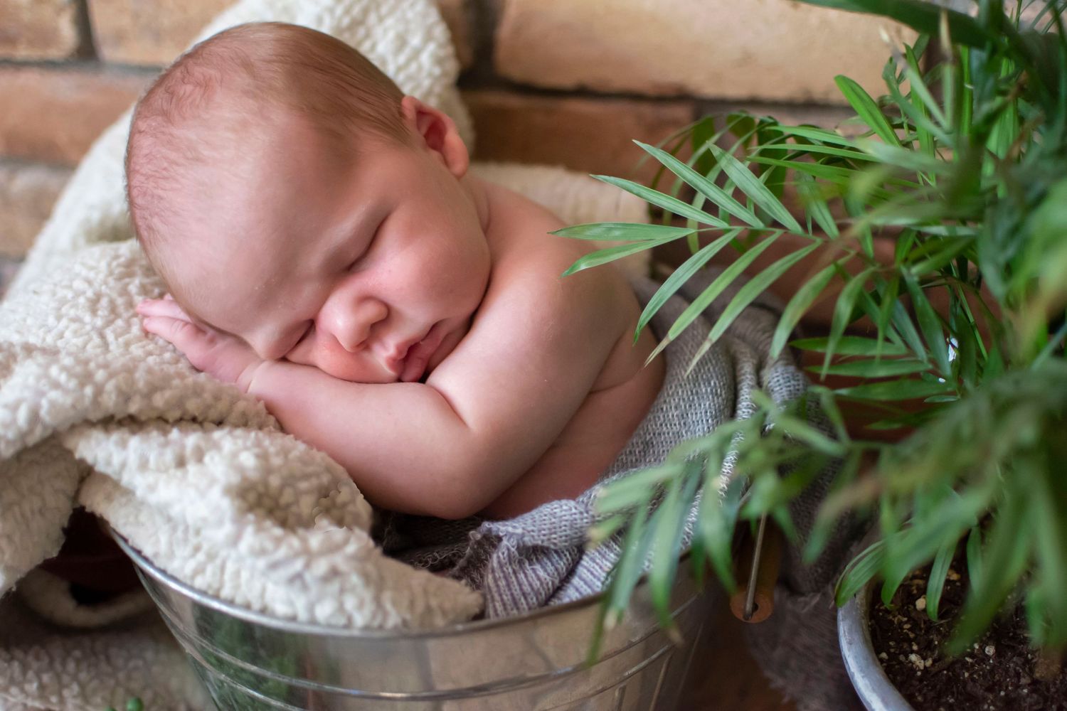 Bozeman Babies and Newborns
